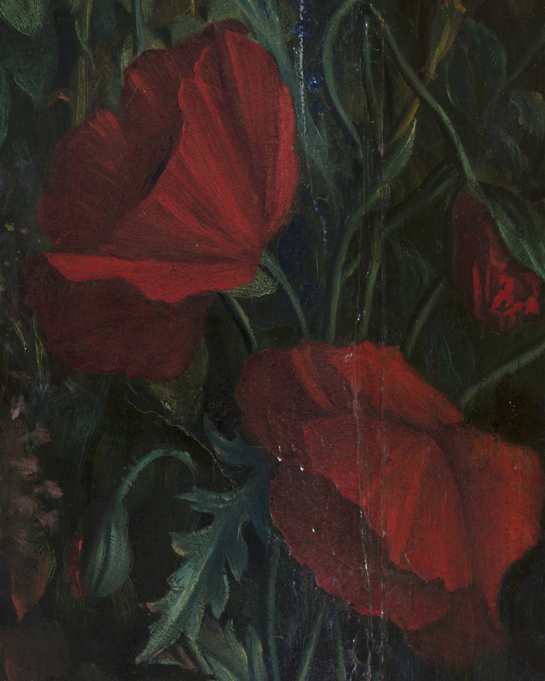 Louis Janmot "Fleur des Champs" Handdetalj - Röda Tulpaner affischer