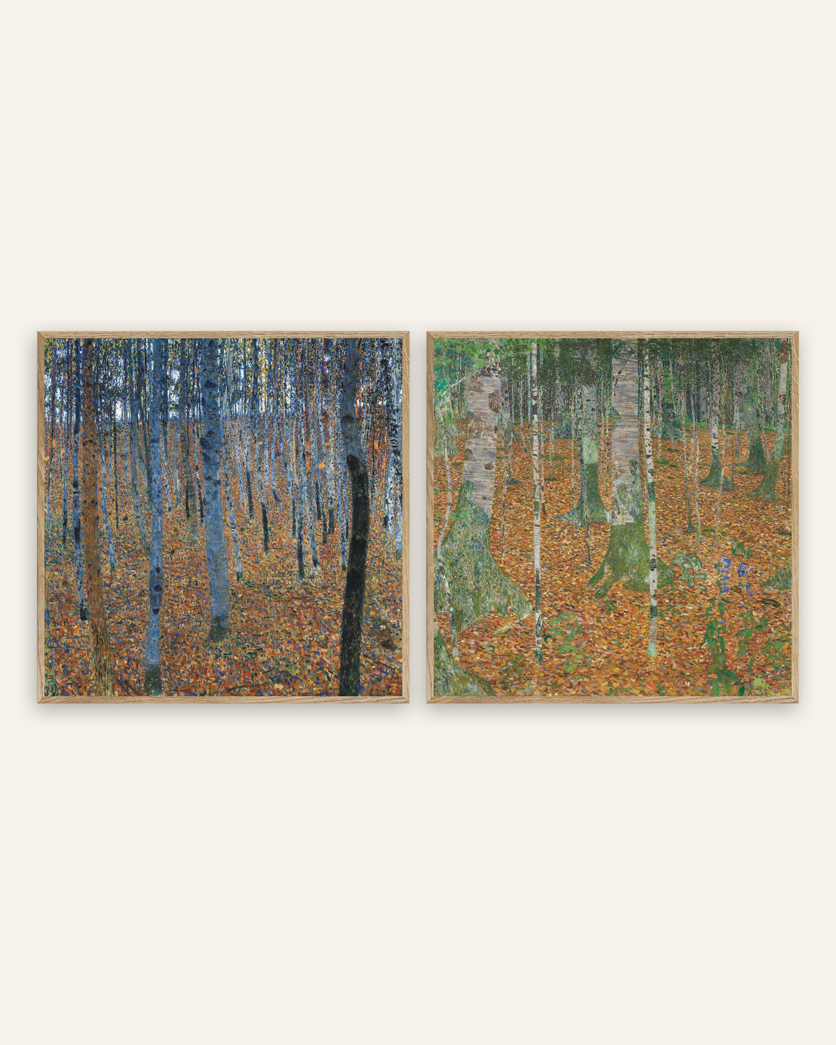 Klimt-posters, set med 2: Bokskog I och Björkskog, i ramar av naturek