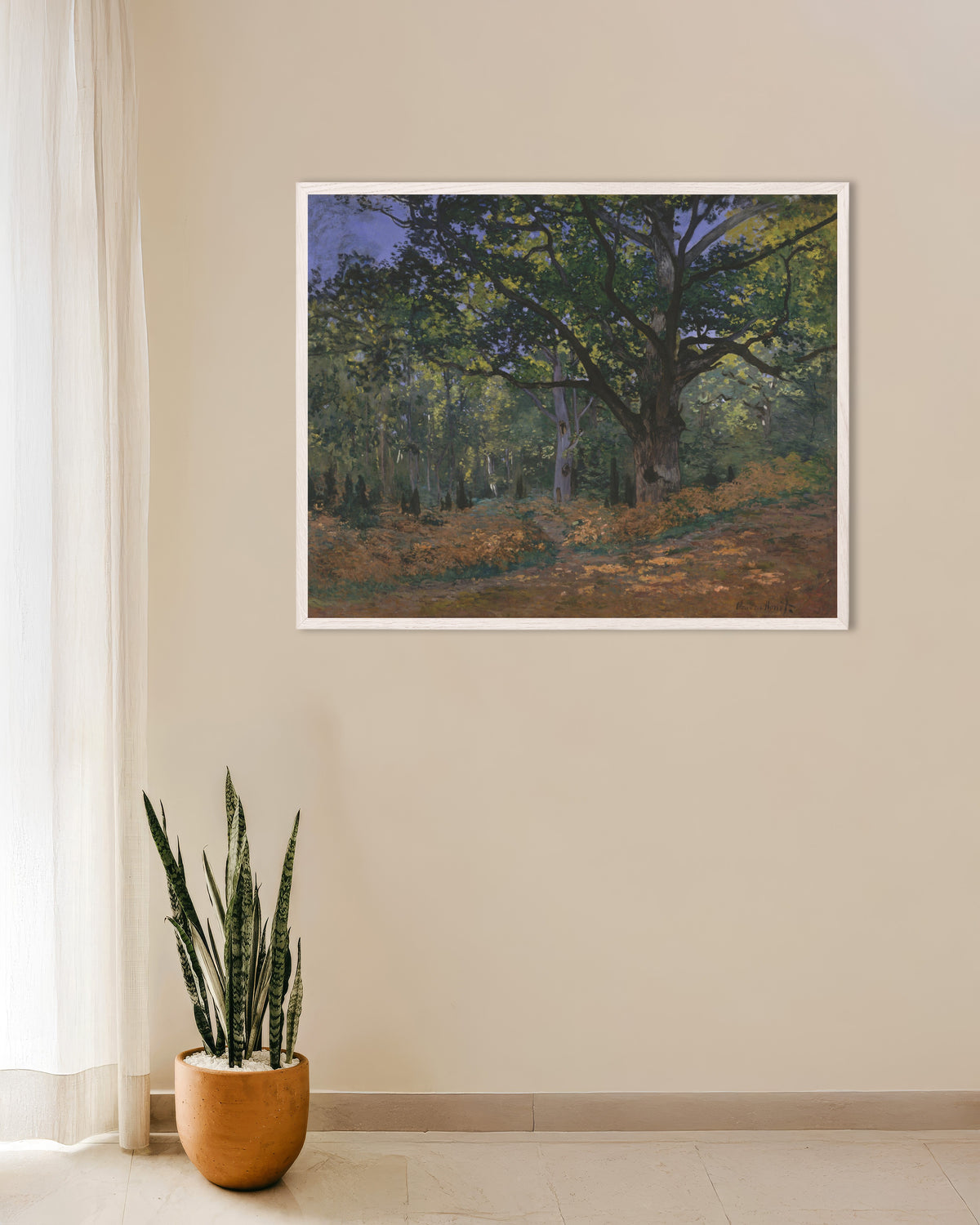Poster Bodmers ek, Fontainebleauskogen (1865) av Claude Monet med vit träram