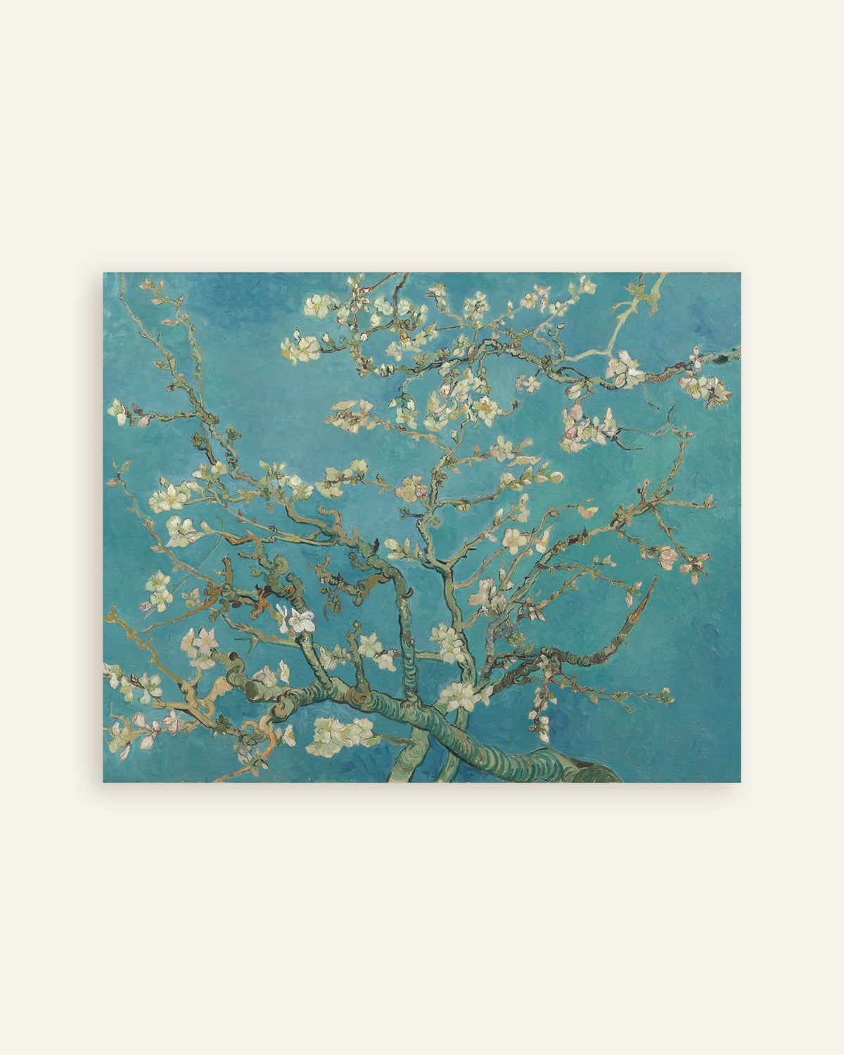 Poster med Mandelblomning (1890) av Vincent van Gogh, miniatyrbild