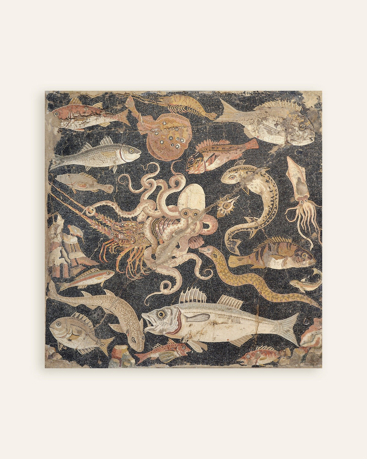 Poster med fiskmosaiken från Pompeji, romerskt havsliv