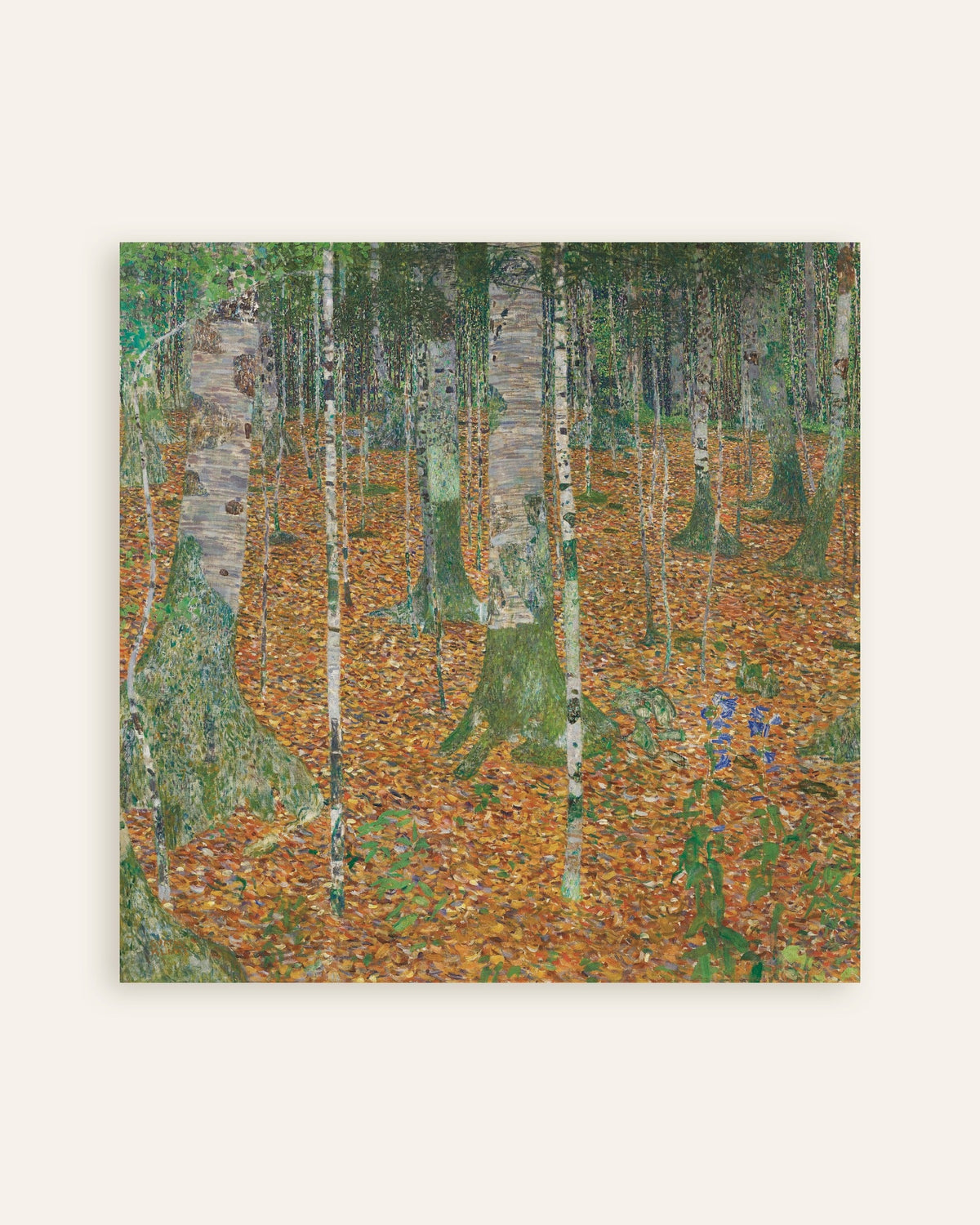 Poster Björkskog (1903) av Gustav Klimt, miniatyr