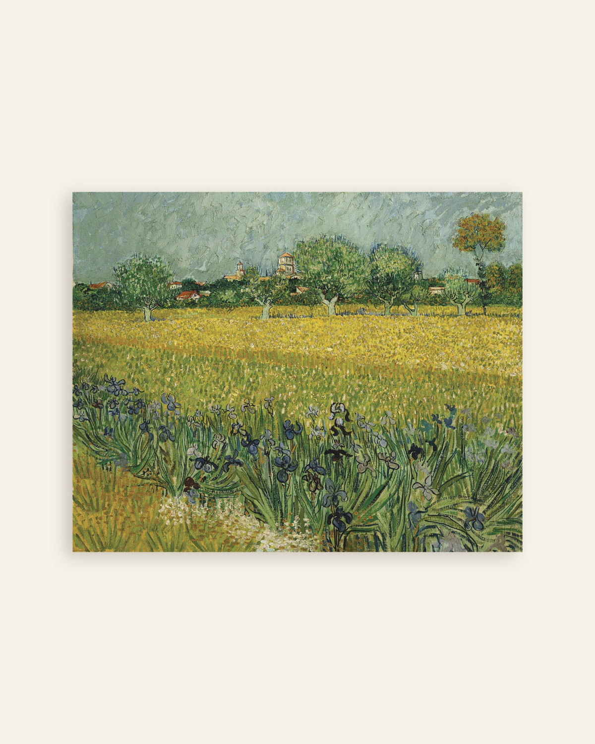 Poster med Fält med iris nära Arles (1888) av Vincent van Gogh, miniatyrbild