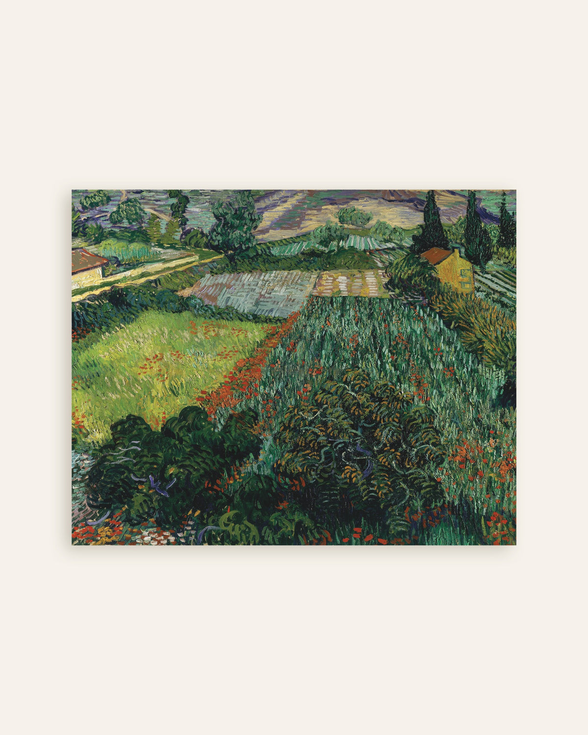 Poster med Fält med vallmo (1889) av Vincent van Gogh, miniatyr