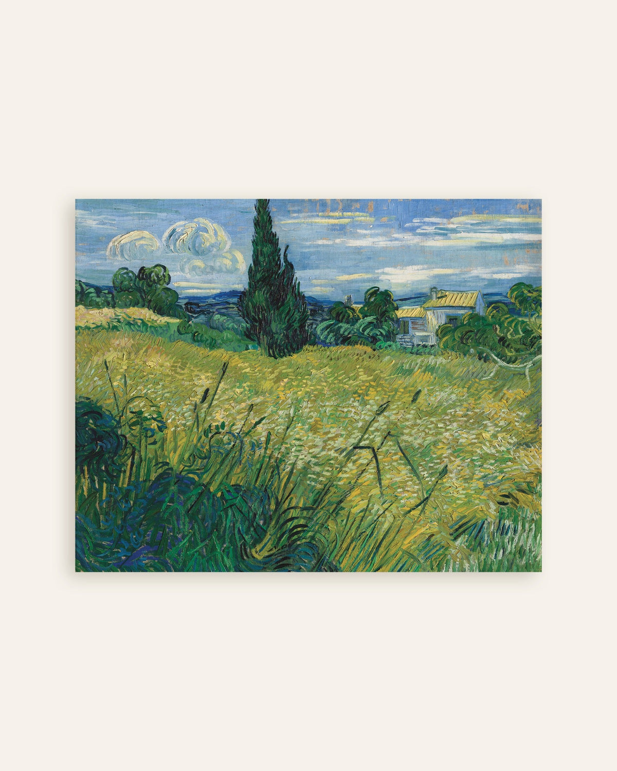 Poster med Grönt vetefält med cypress (1889) av Vincent van Gogh, miniatyr