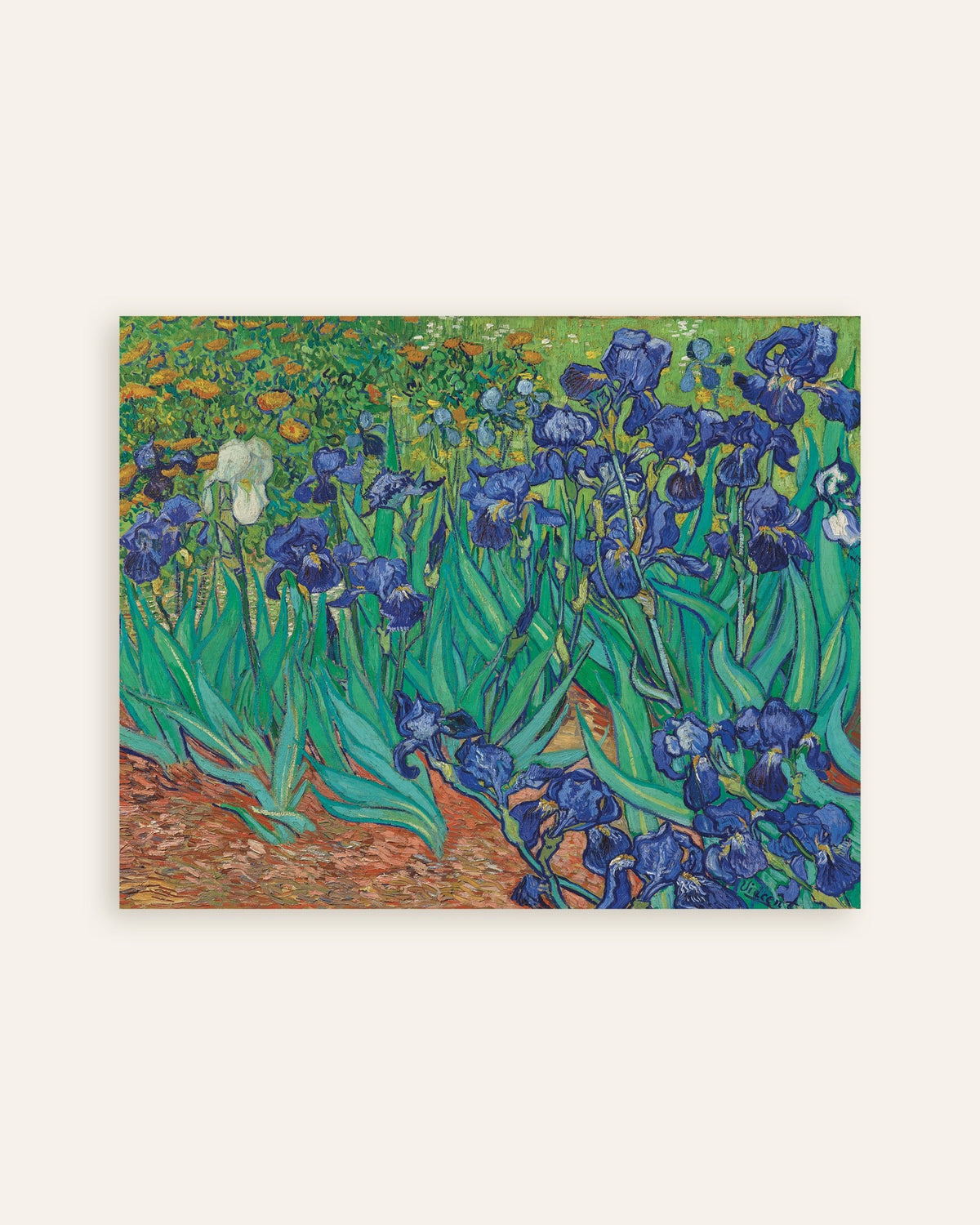 Poster av Irisar (1889) av Vincent van Gogh, miniatyr