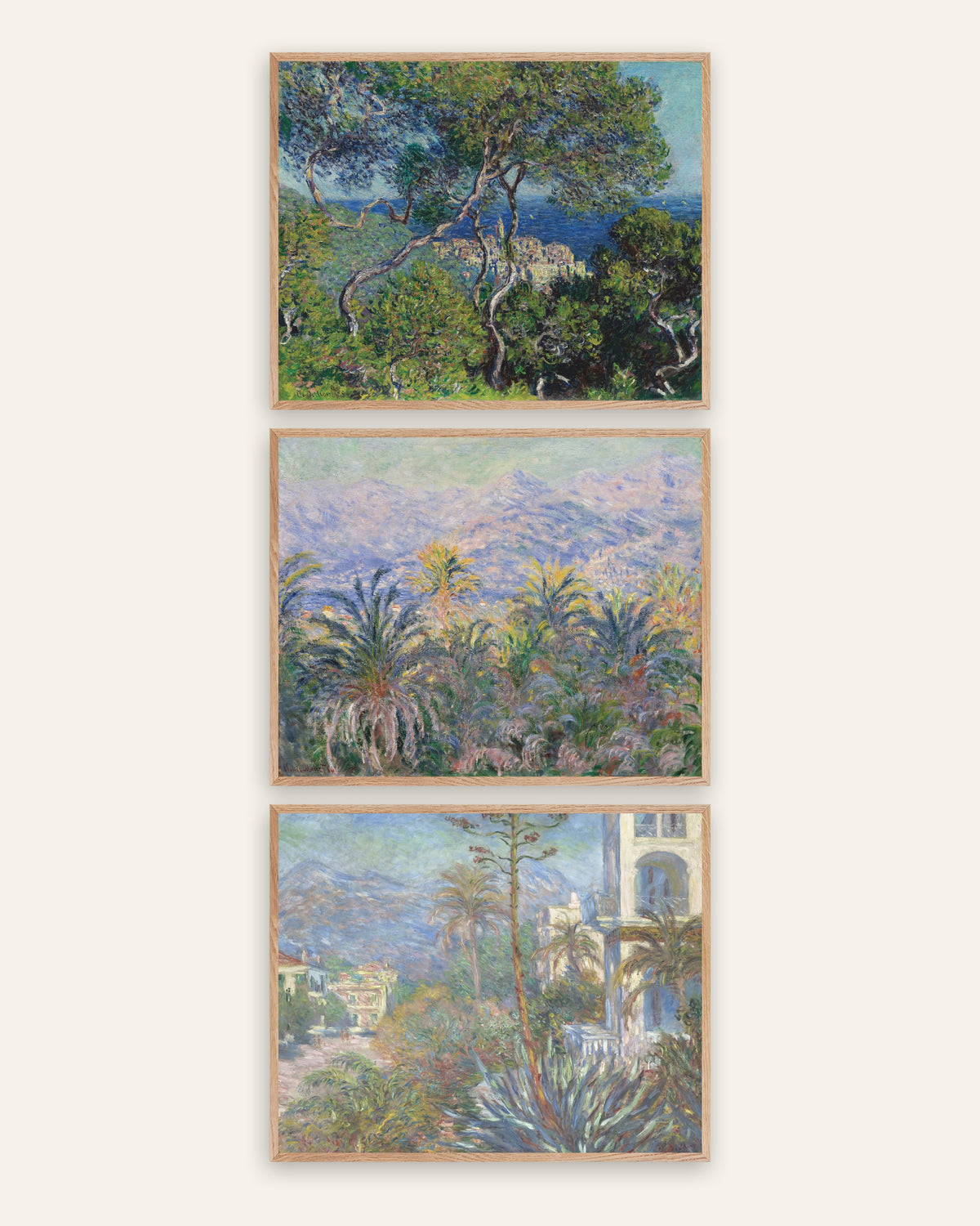 Monet Bordighera posters, set med 3: pinjer, palmer och villor, i ramar av naturek