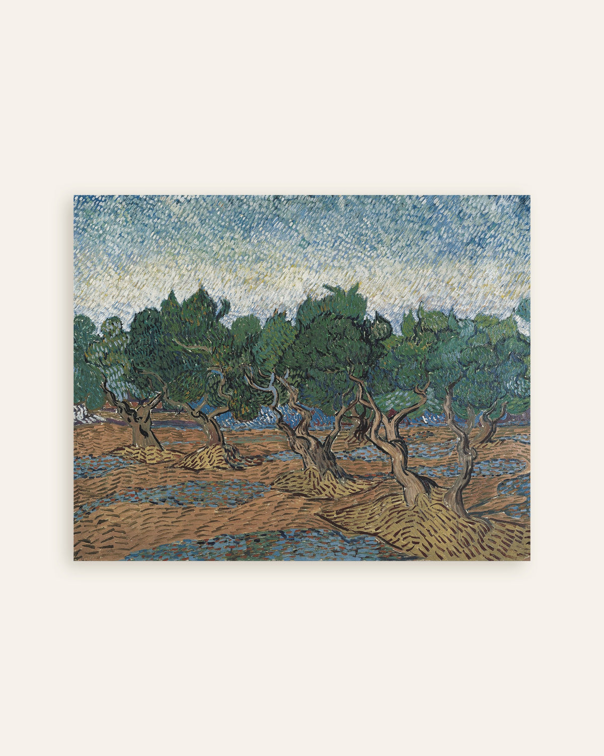 Poster med Olivlund (1889) av Vincent van Gogh, miniatyr