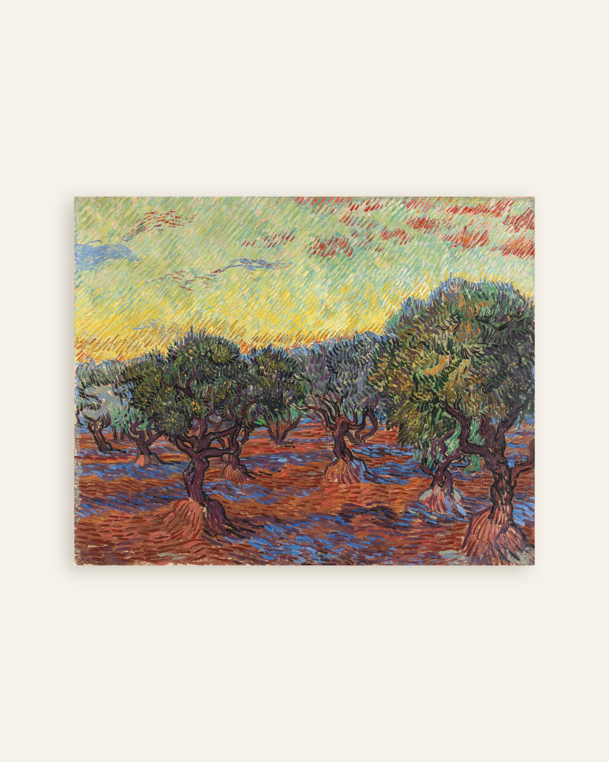 Poster av Olivlund med orange himmel (1889) av Vincent van Gogh, miniatyrbild