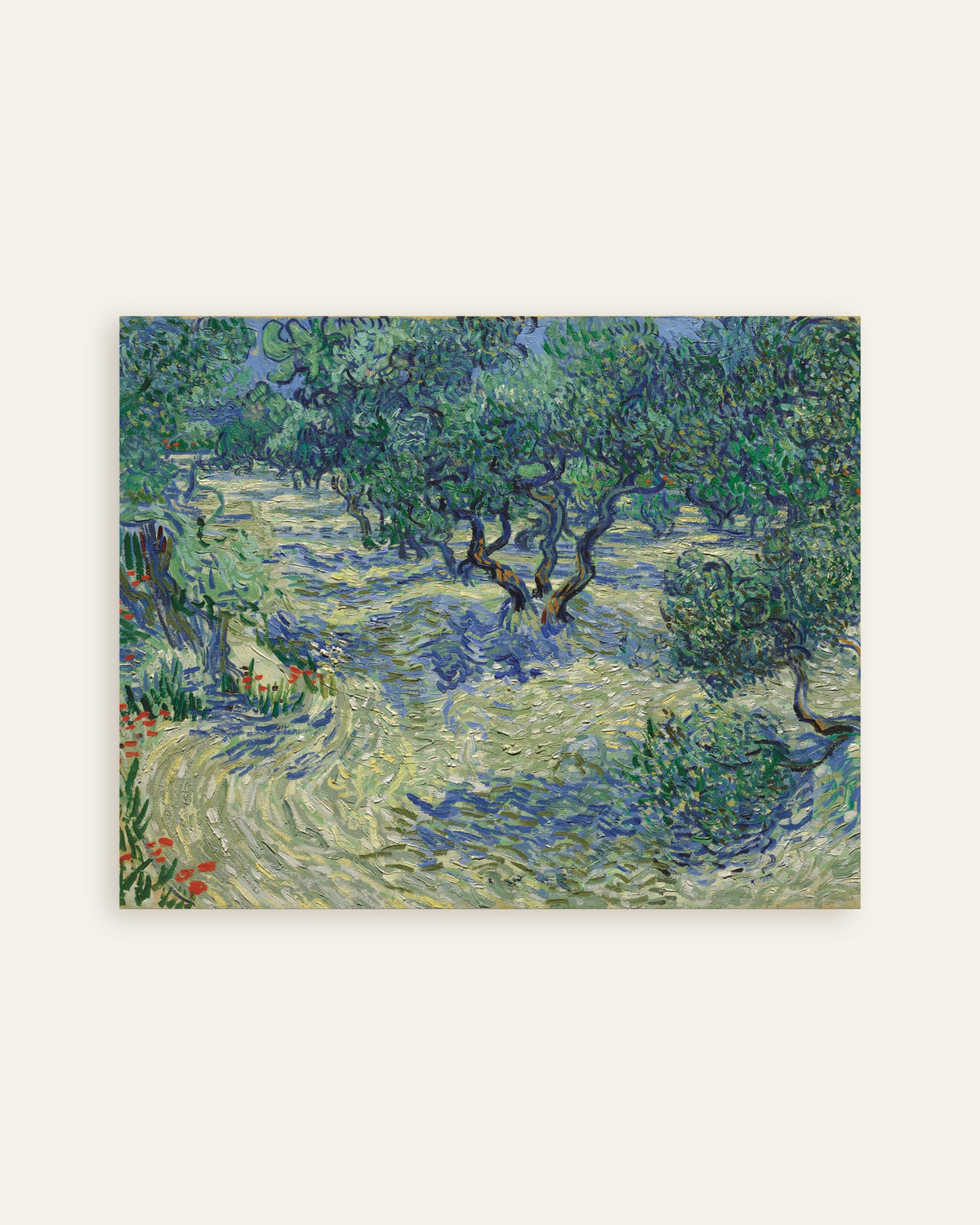Poster med Olivlund (1889) av Vincent van Gogh, miniatyrbild