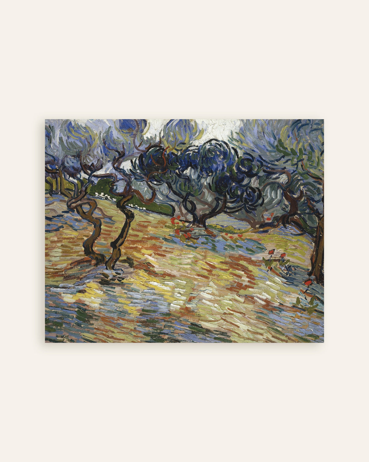 Poster med Olivträd (1889) av Vincent van Gogh, miniatyr