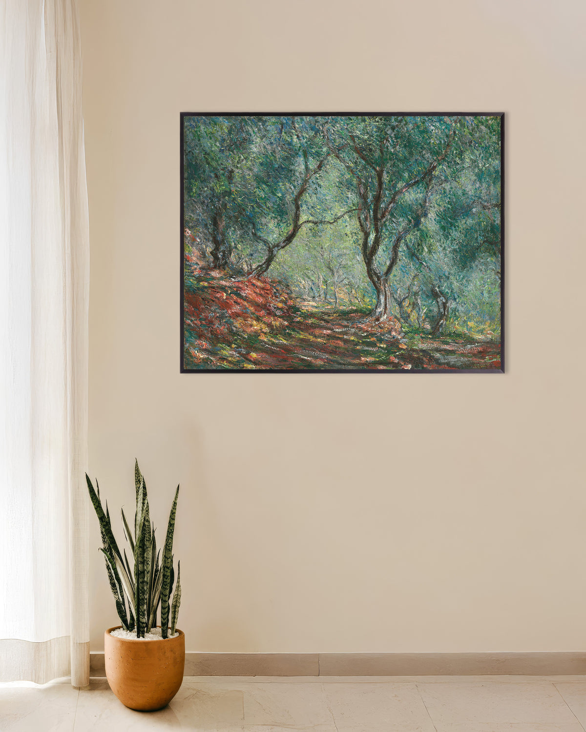 Poster Olivlund i Morenos trädgård (1884) av Claude Monet med metallram