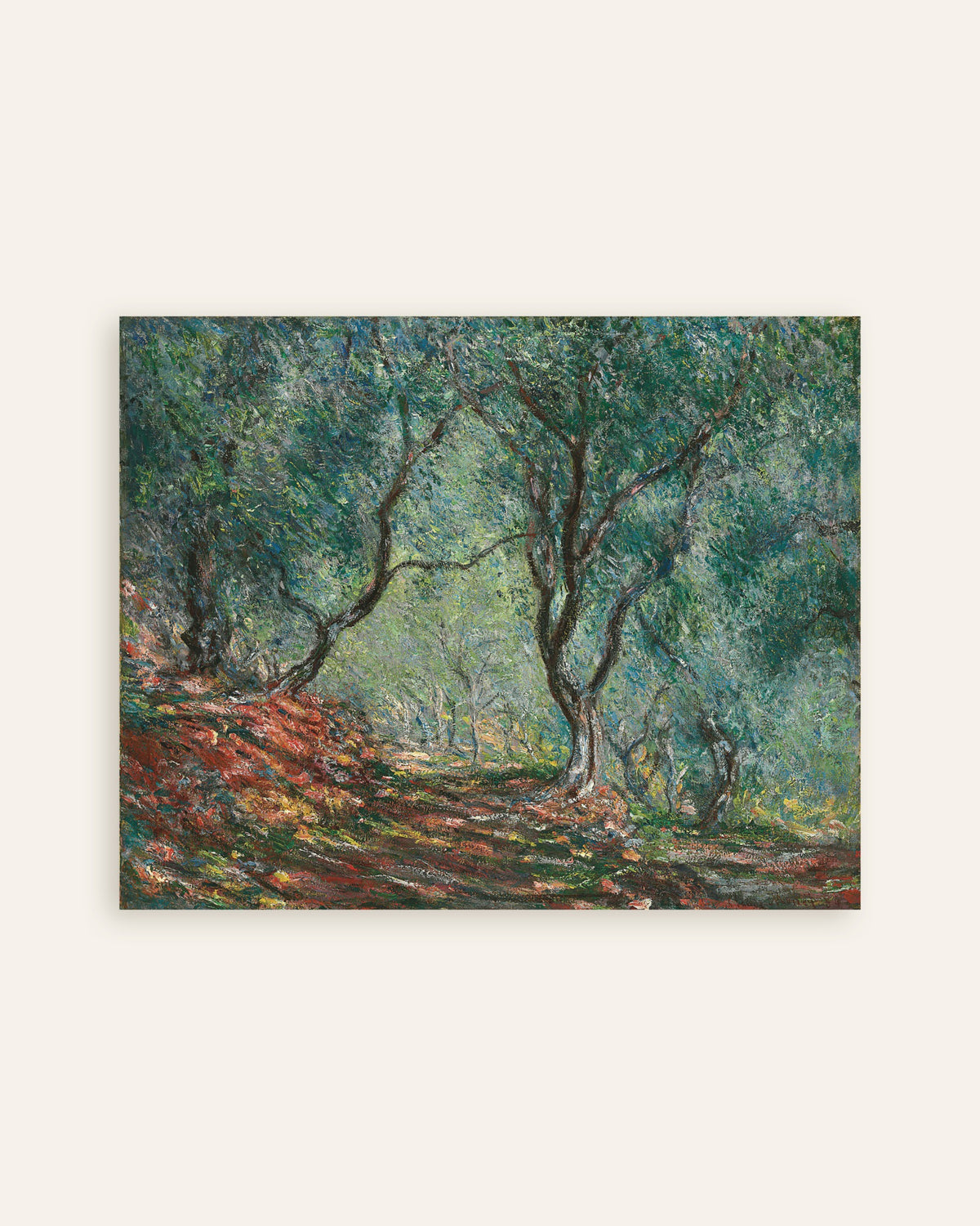 Poster Olivlund i Morenos trädgård (1884) av Claude Monet, miniatyr