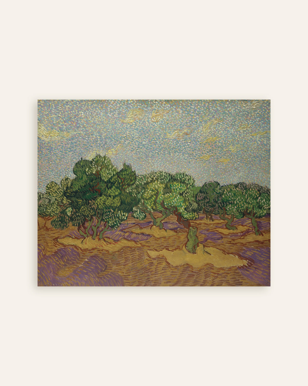 Poster med Olivträd under en blek himmel (1889) av Vincent van Gogh, miniatyrbild