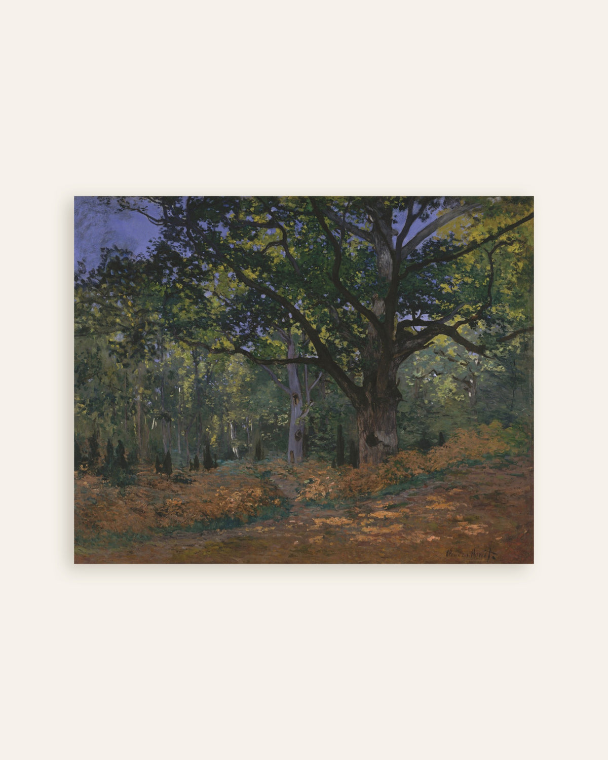 Poster Bodmers ek, Fontainebleauskogen (1865) av Claude Monet, miniatyr
