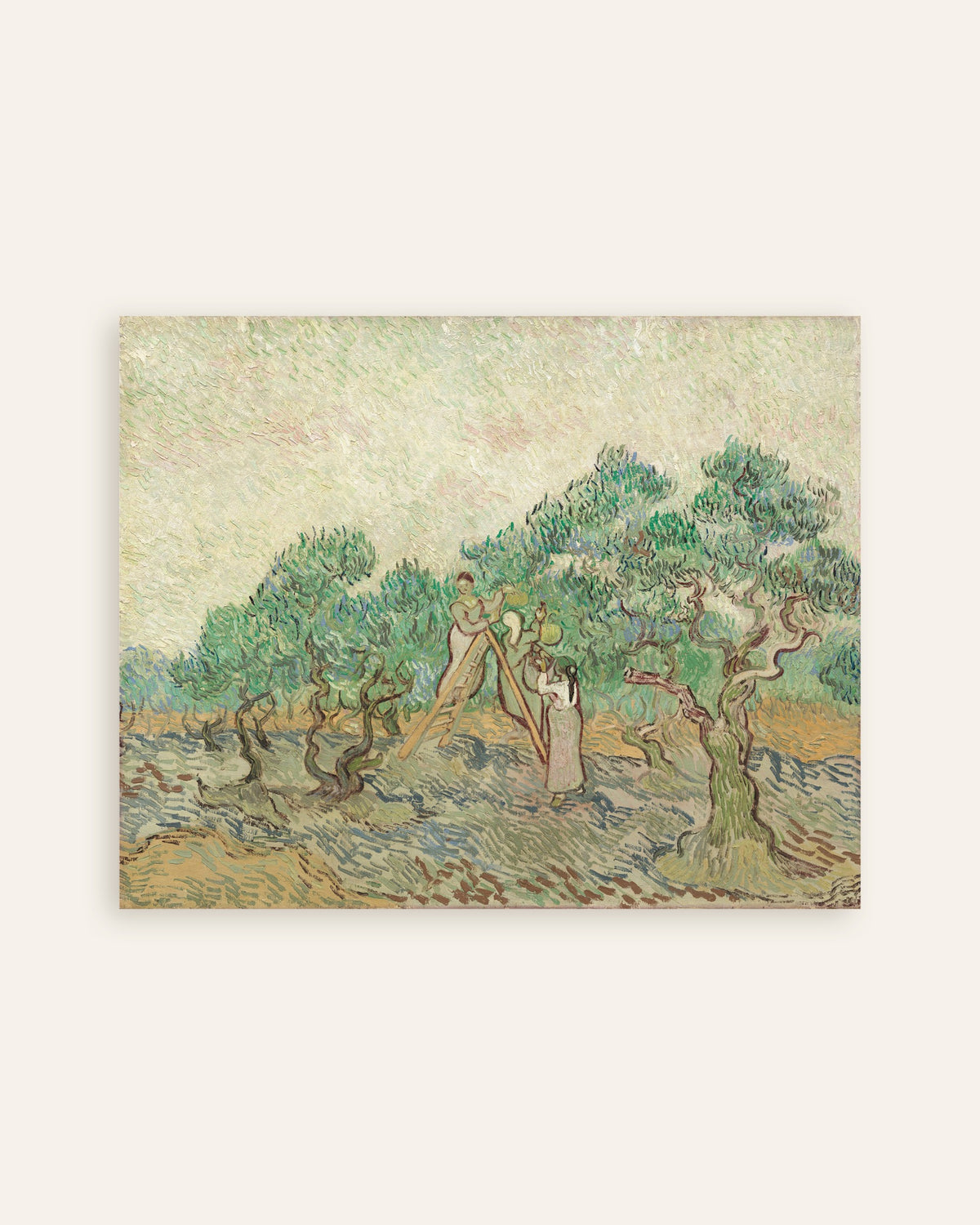 Poster med Olivlund (1889) av Vincent van Gogh, miniatyrbild