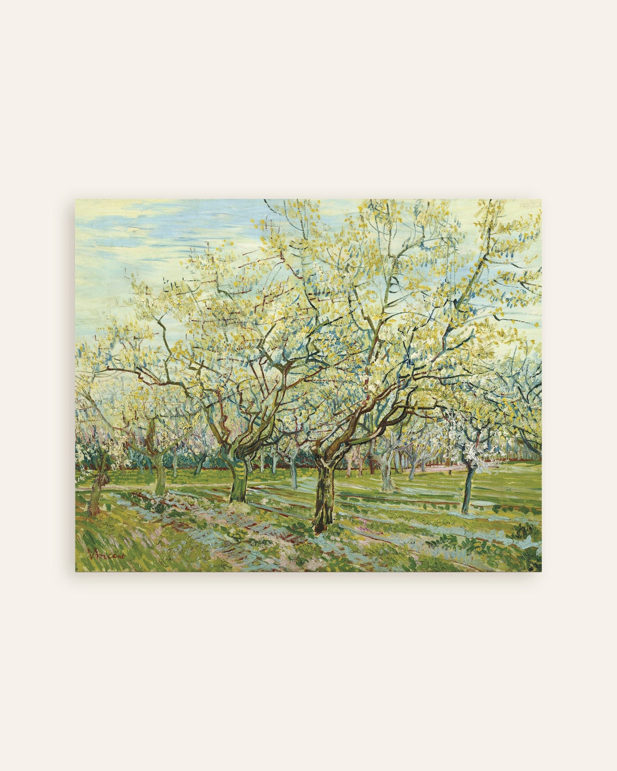 Poster av Den vita fruktträdgården (1888) av Vincent van Gogh, miniatyrbild