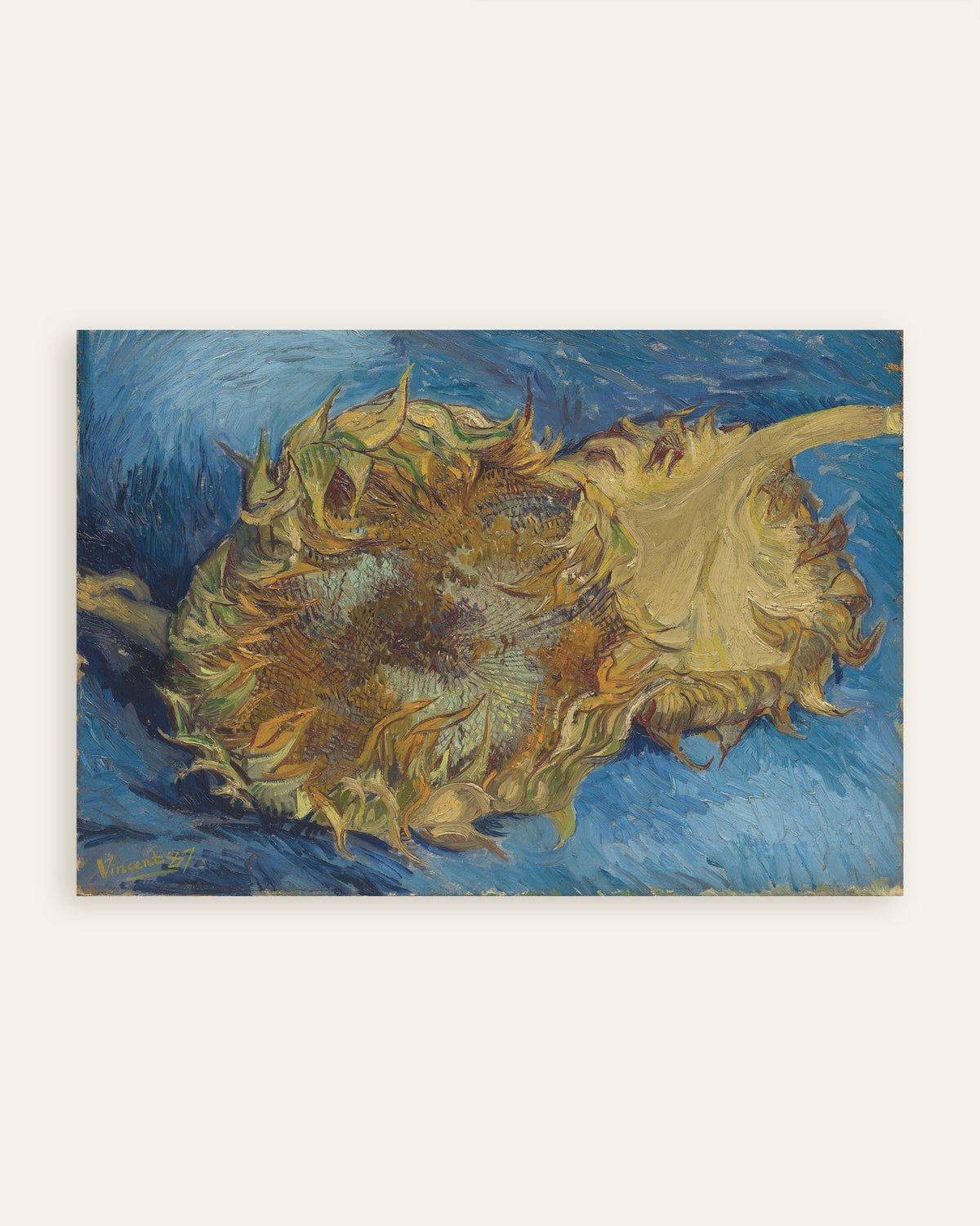 Poster med Två avskurna solrosor (1887) av Vincent van Gogh, miniatyrbild