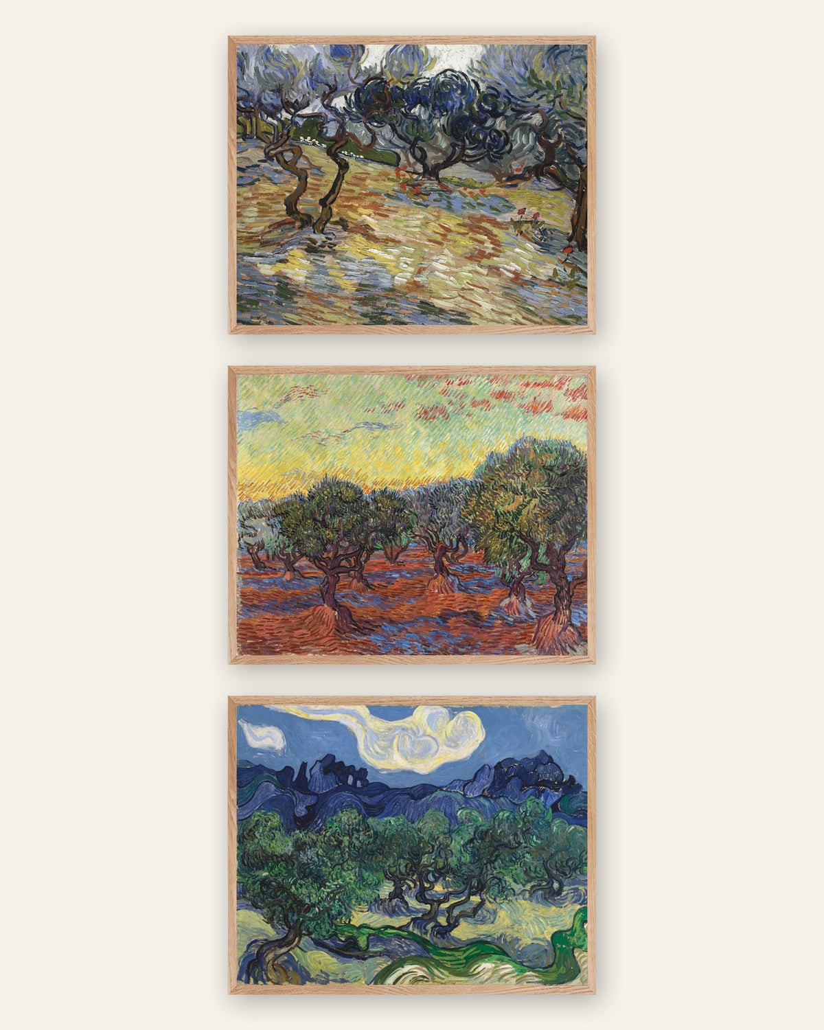 Van Gogh-posters med olivträd, set med 3: olivlundarna i Saint-Rémy, i ramar av naturek