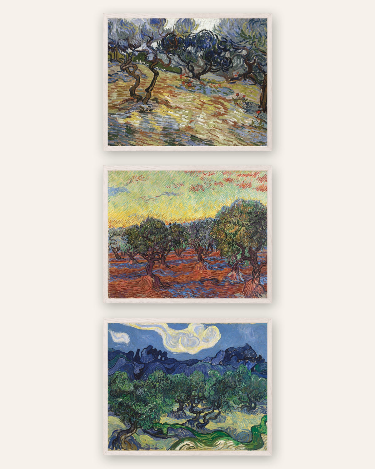 Van Gogh-posters med olivträd, set med 3: olivlundarna i Saint-Rémy, i vita ekramar