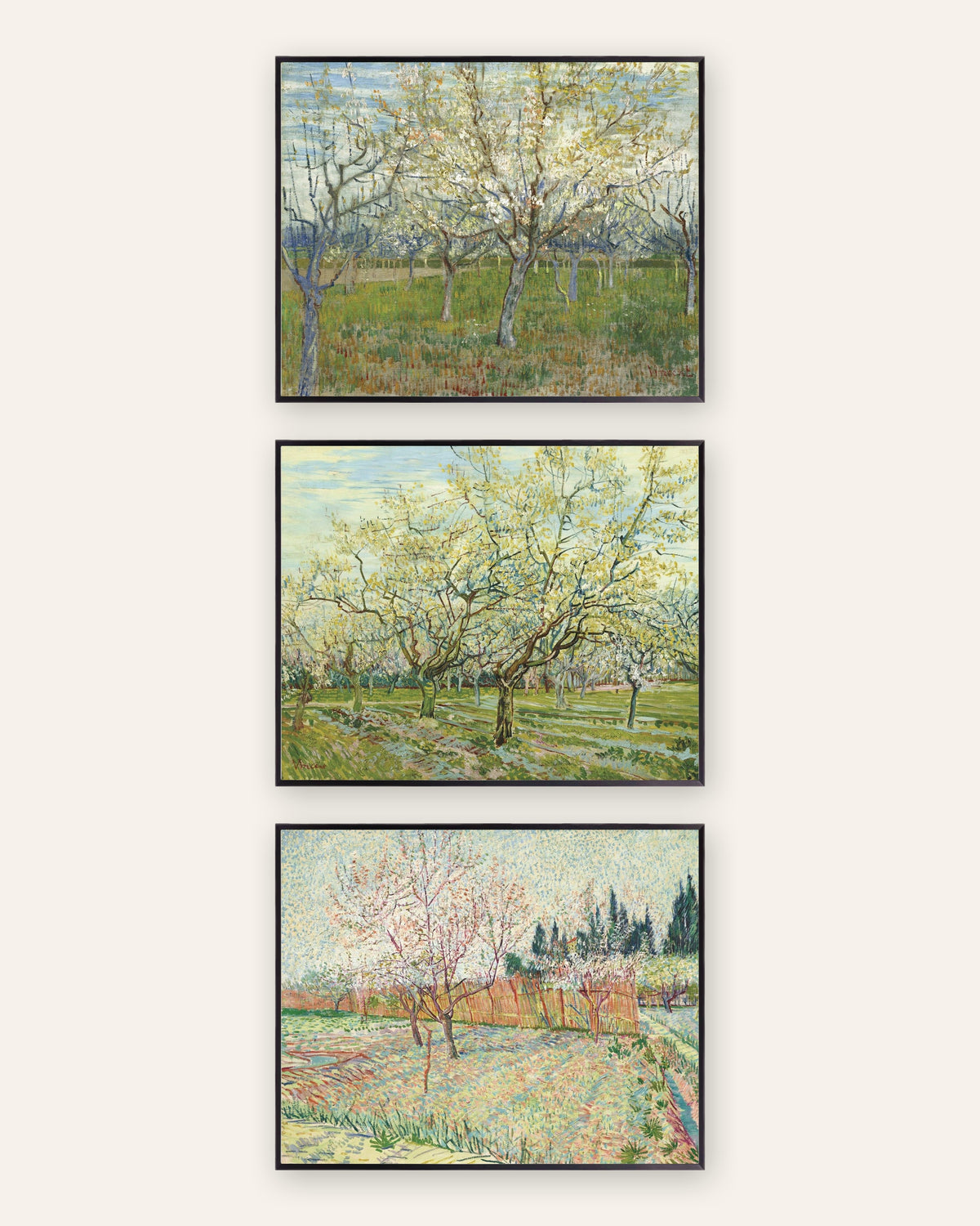 Van Gogh-posters med blommande fruktträdgårdar, set med 3: rosa, vit och med cypresser, i svarta metallramar