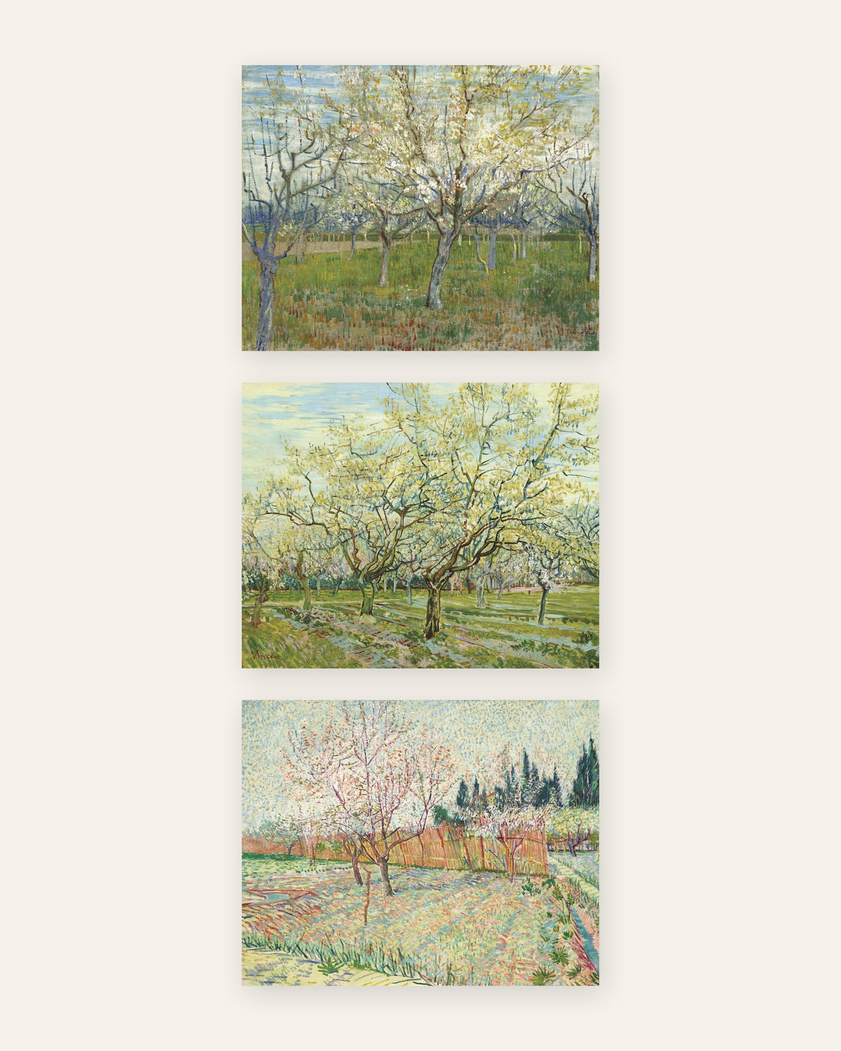 Van Gogh-posters med blommande fruktträdgårdar, set med 3: rosa, vit och med cypresser, utan ram
