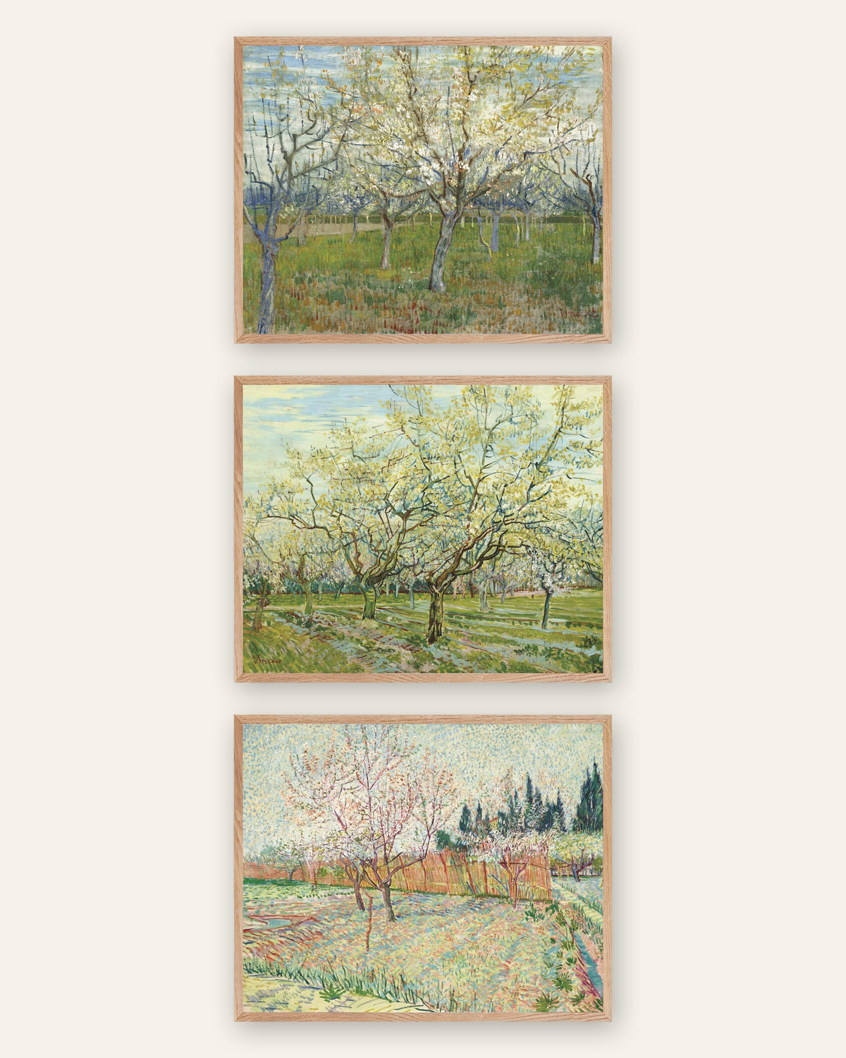 Van Gogh-posters med blommande fruktträdgårdar, set med 3: rosa, vit och med cypresser, i ramar av naturek
