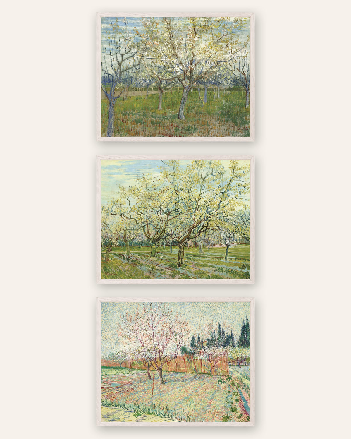 Van Gogh-posters med blommande fruktträdgårdar, set med 3: rosa, vit och med cypresser, i vita ekramar