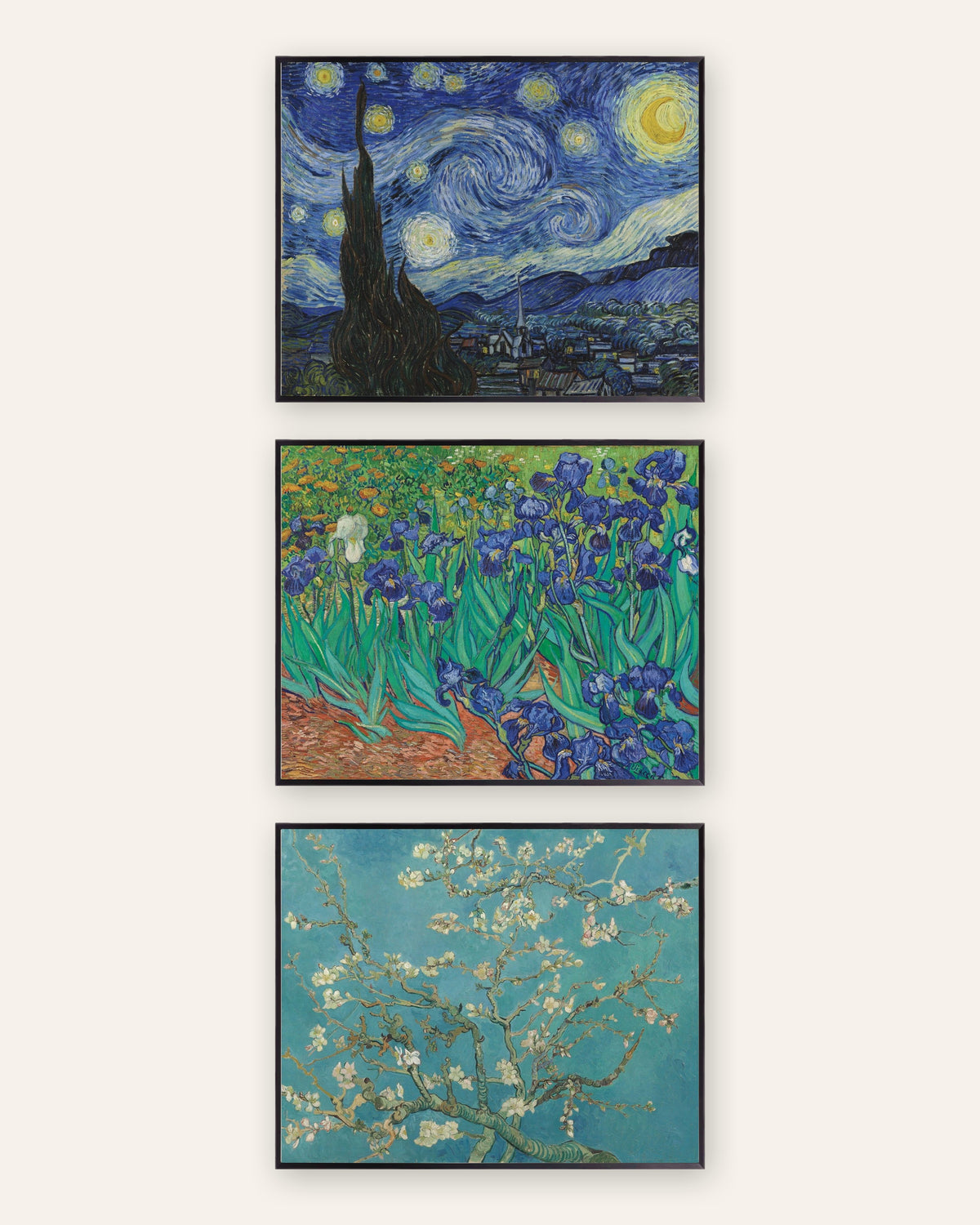 Van Gogh-posters, set med 3: Stjärnenatten, Irisar och Mandelblom, i svarta metallramar