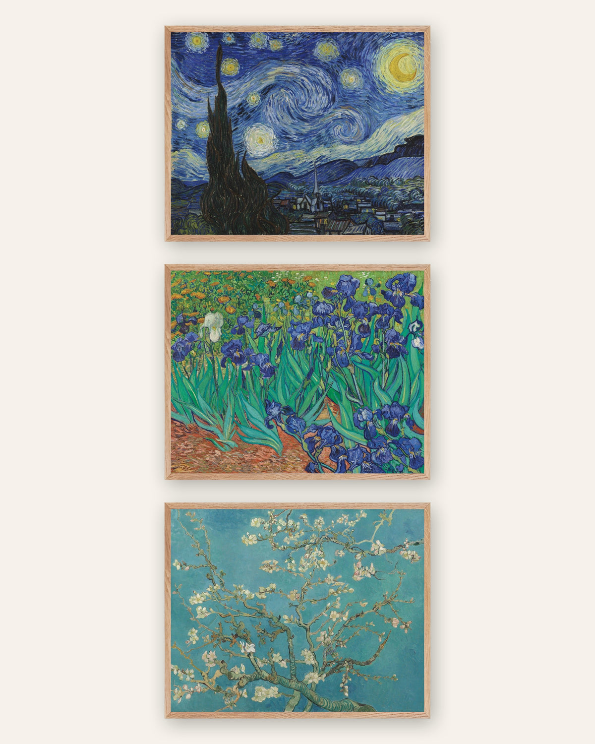 Van Gogh-posters, set med 3: Stjärnenatten, Irisar och Mandelblom, i ramar av naturek