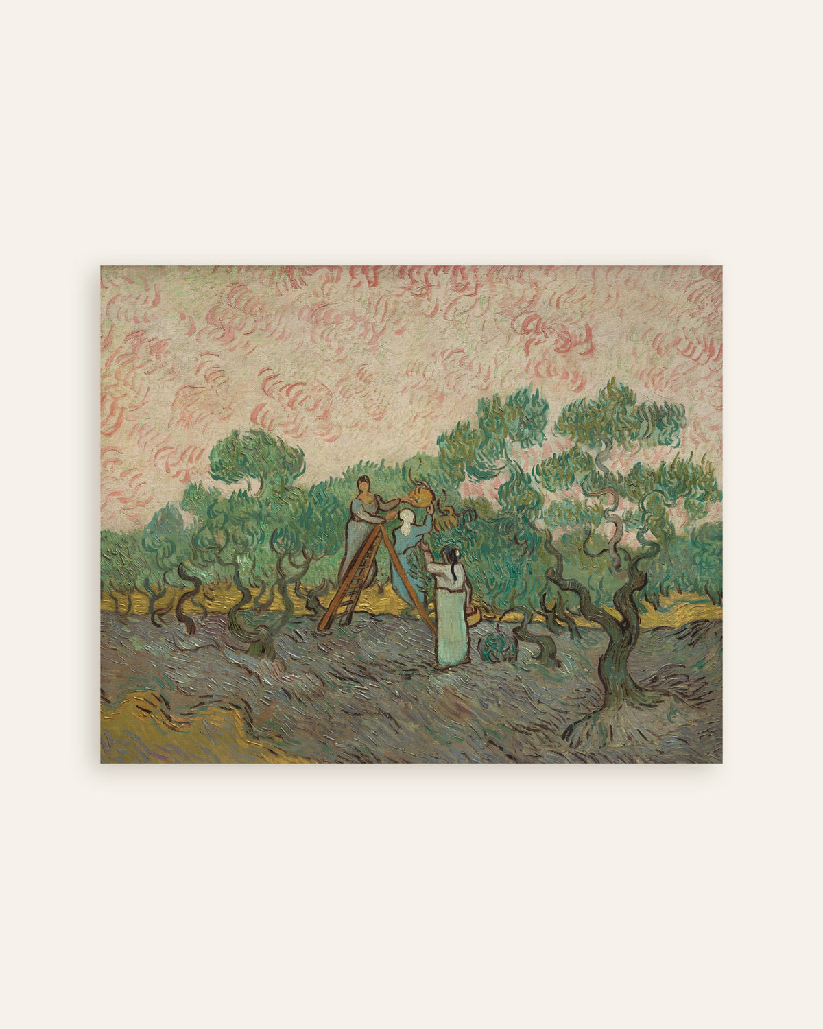 Poster med Kvinnor som plockar oliver (1889) av Vincent van Gogh, miniatyrbild