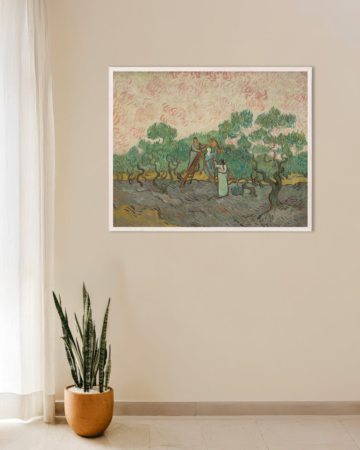Poster med Kvinnor som plockar oliver (1889) av Vincent van Gogh, med vit träram